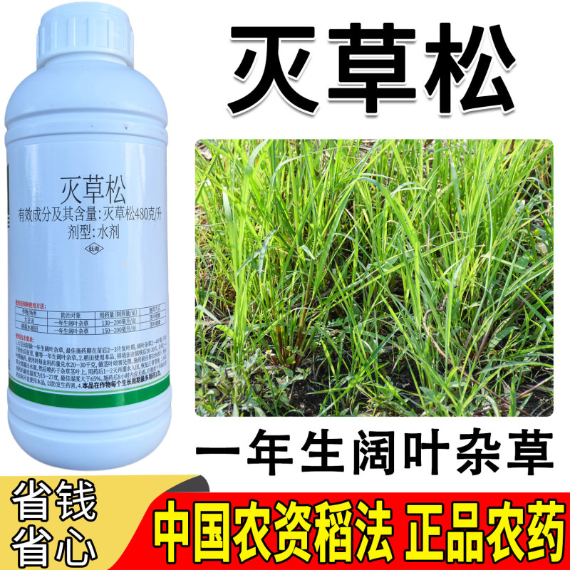 移栽水稻田阔叶草专用480克/升灭草松触杀内吸传导茎
