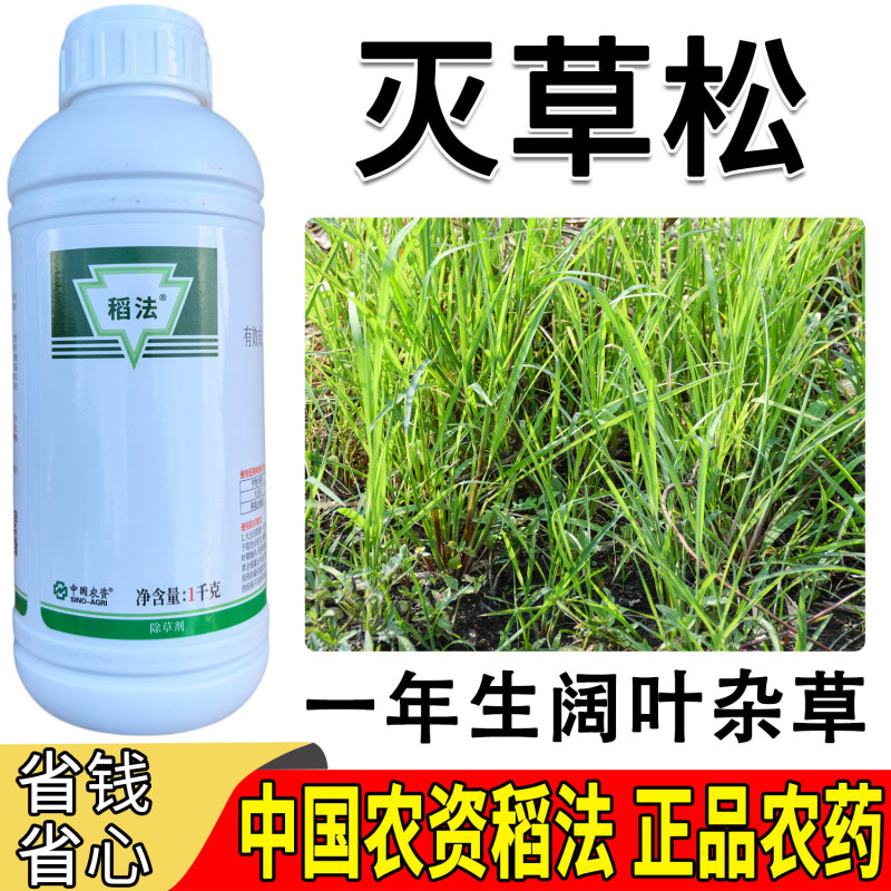 移栽水稻田阔叶草专用480克/升灭草松触杀内吸传导茎