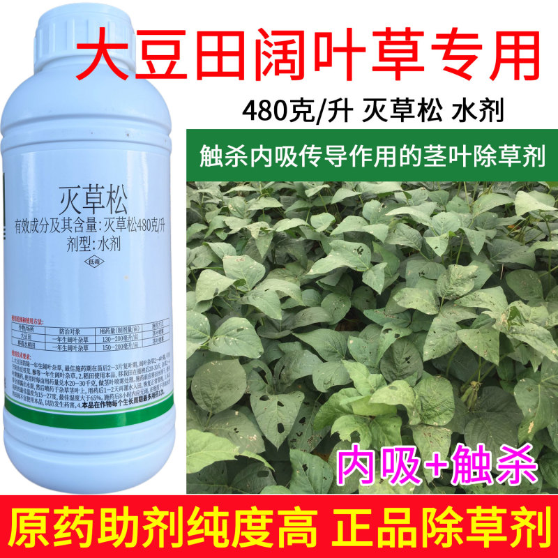 移栽水稻田阔叶草专用480克/升灭草松触杀内吸传导茎