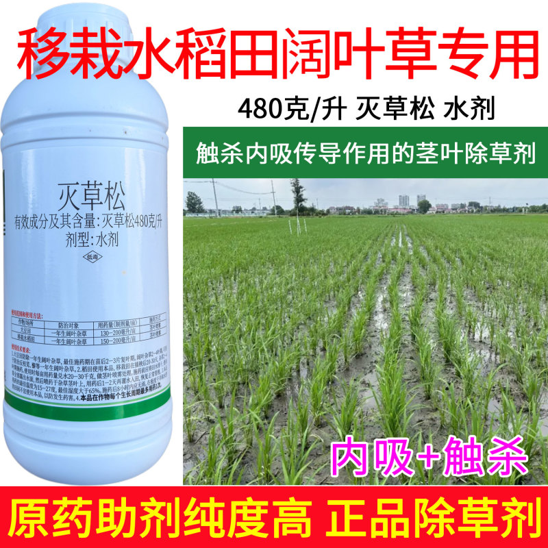 移栽水稻田阔叶草专用480克/升灭草松触杀内吸传导茎