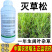 移栽水稻田阔叶草专用480克/升灭草松触杀内吸传导茎