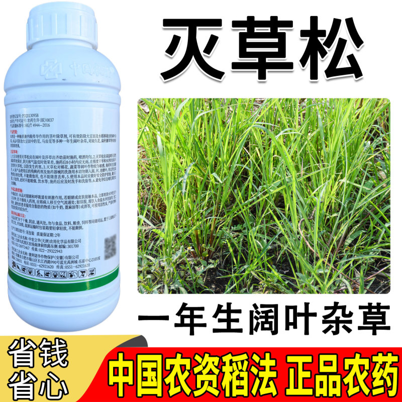 移栽水稻田阔叶草专用480克/升灭草松触杀内吸传导茎
