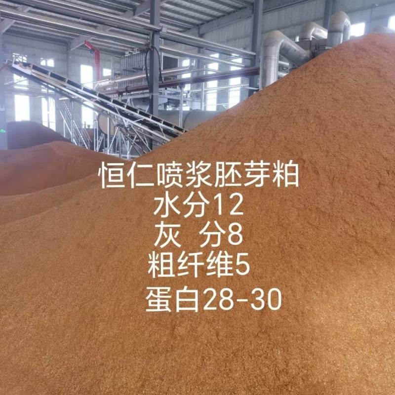 【每日推荐】山东精品玉米喷浆胚芽粕产地直发量大从优