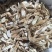 牛大力粉质中牛切片干货精品