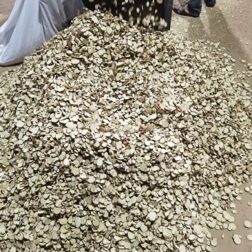 优质五指毛桃统圆片一手货源保障规格多样量大优惠