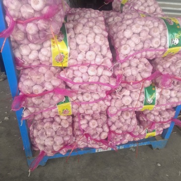 净蒜，