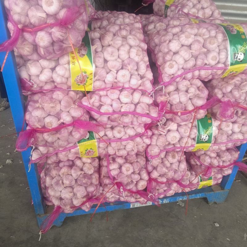 净蒜，
