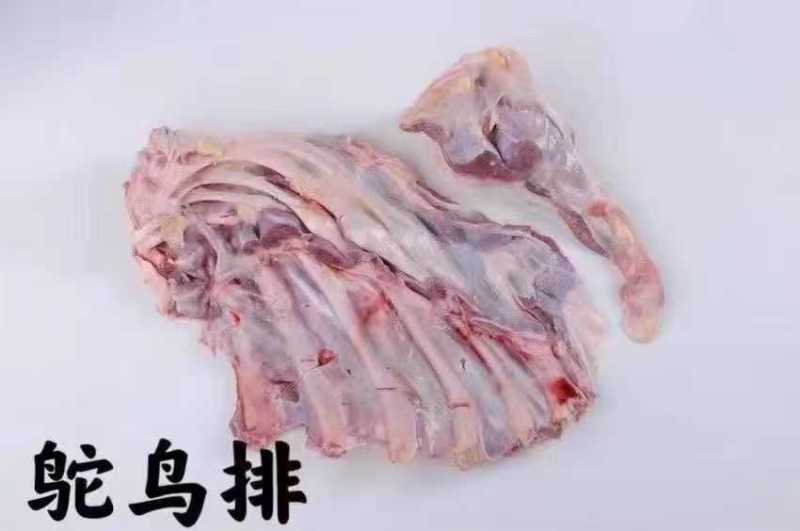 广东新鲜活杀冰鲜鸵鸟肉自家养殖全国可发欢迎来电咨询