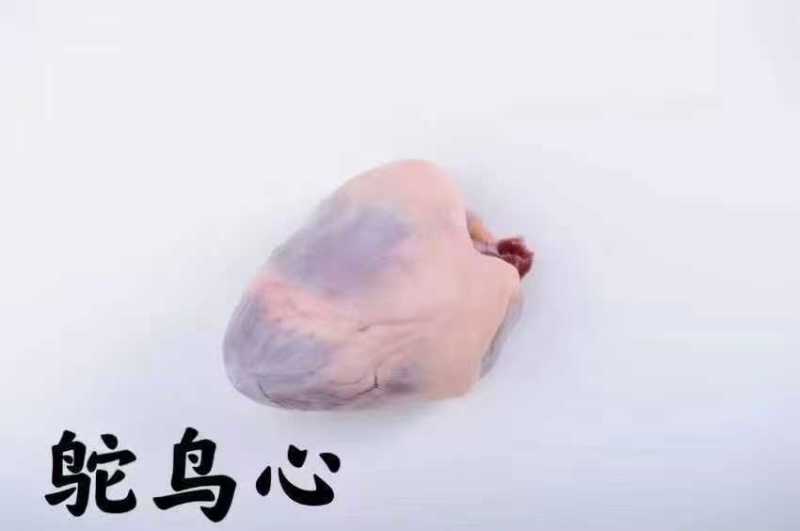 广东新鲜活杀冰鲜鸵鸟肉自家养殖全国可发欢迎来电咨询