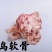 广东新鲜活杀冰鲜鸵鸟肉自家养殖全国可发欢迎来电咨询