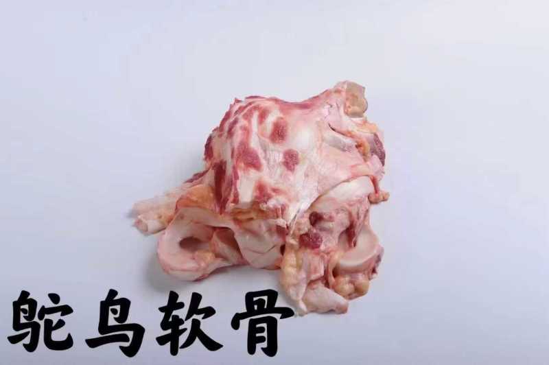 广东新鲜活杀冰鲜鸵鸟肉自家养殖全国可发欢迎来电咨询