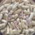 七彩花生精品干货，干净无泥，颗粒饱满，3-4粒的大果