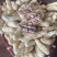 七彩花生精品干货，干净无泥，颗粒饱满，3-4粒的大果