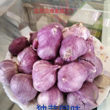 云南大理红皮紫皮2023年新鲜三瓣两辦蒜量大从优产地直发