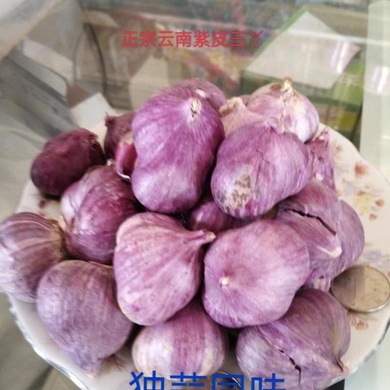 云南大理红皮紫皮2023年新鲜三瓣两辦蒜量大从优产地直发