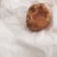 20克左右鸡宝