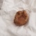 20克左右鸡宝