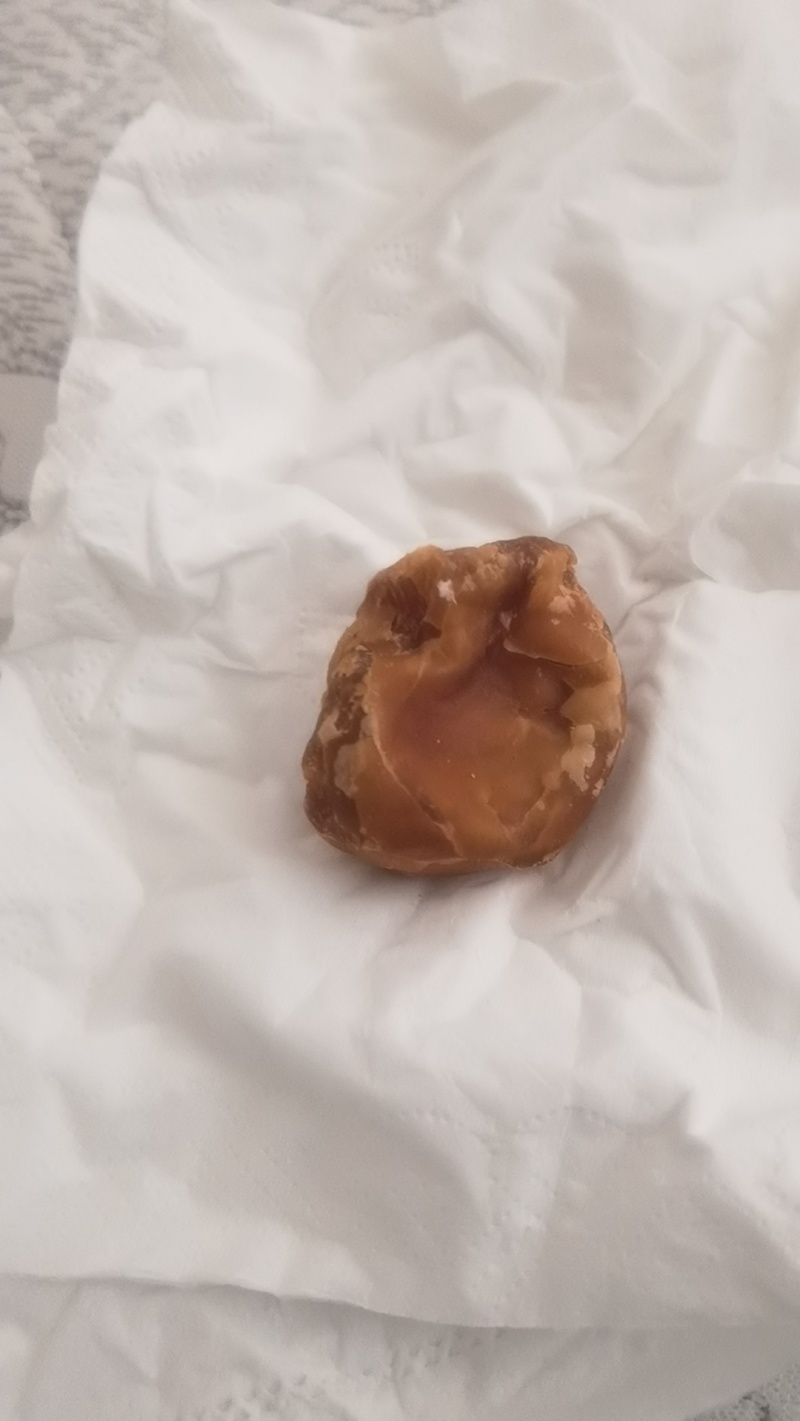 20克左右鸡宝
