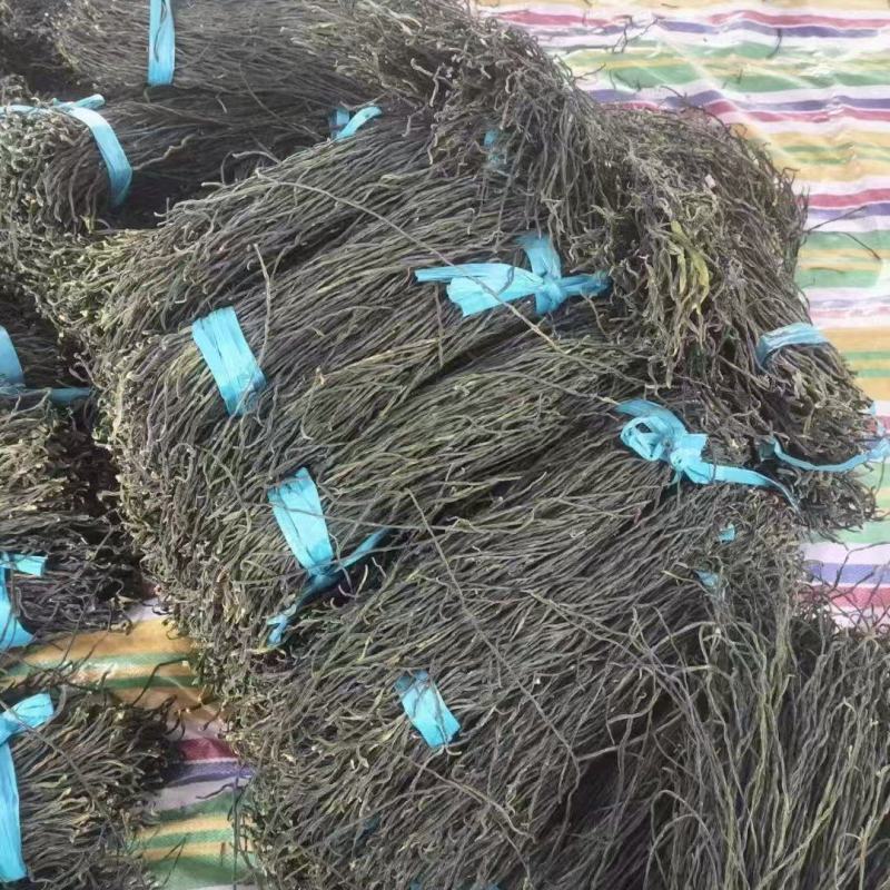 烘干豆角脱水长豆角量大质优价格优惠欢迎各大老板采购