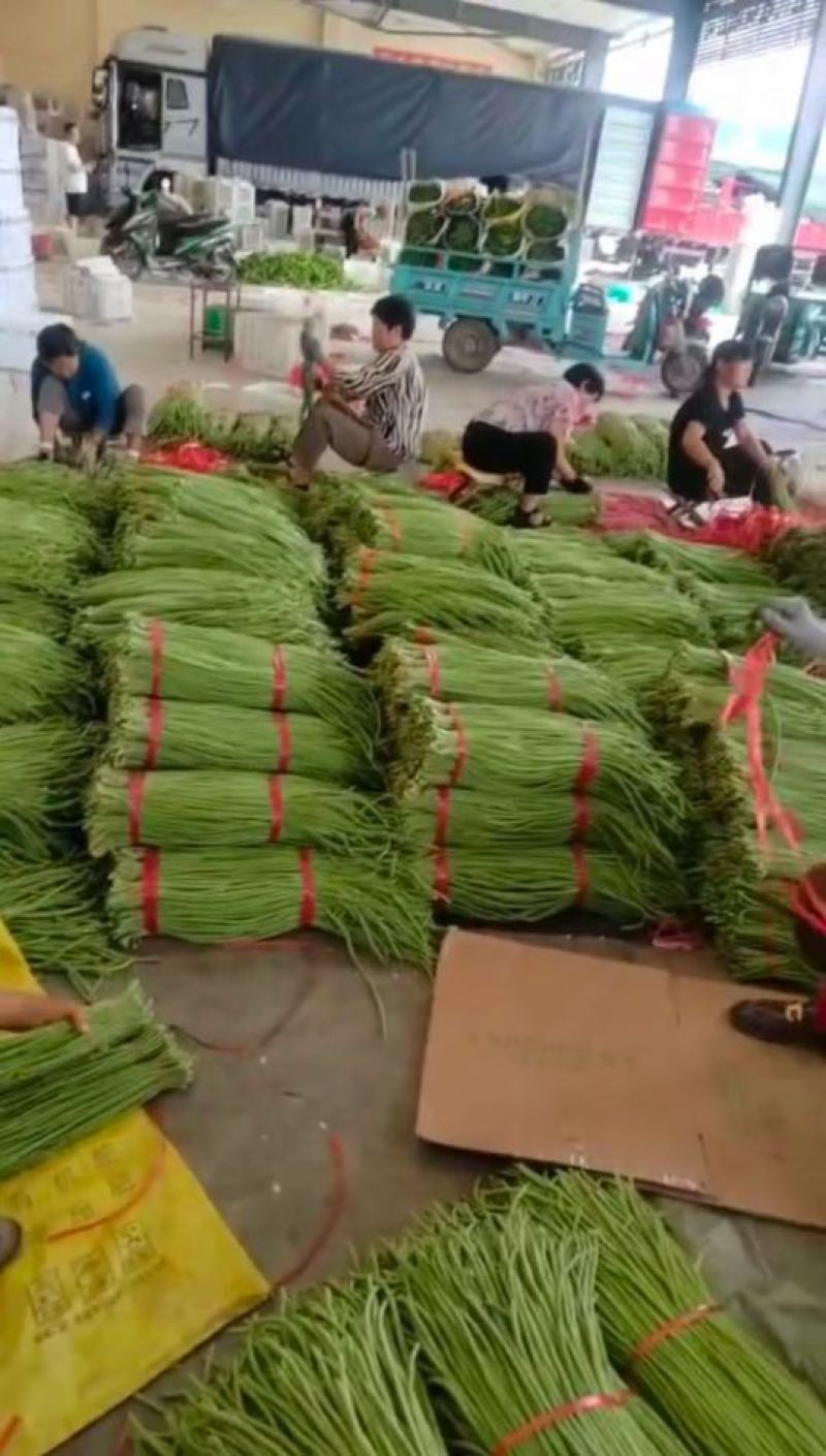 兰陵青条豆角