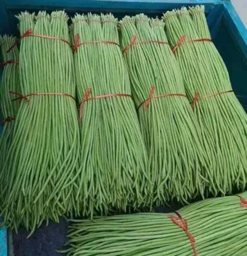 兰陵青条豆角