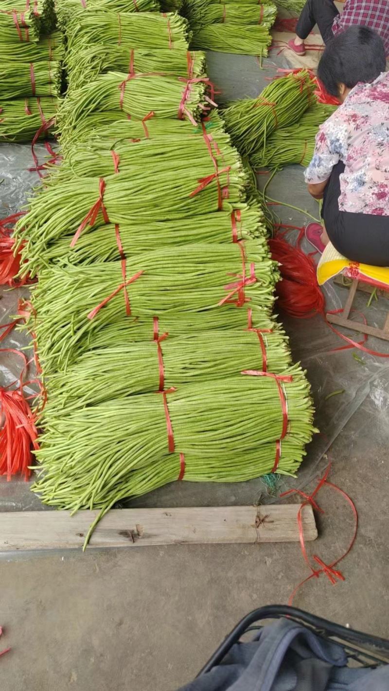 兰陵青条豆角