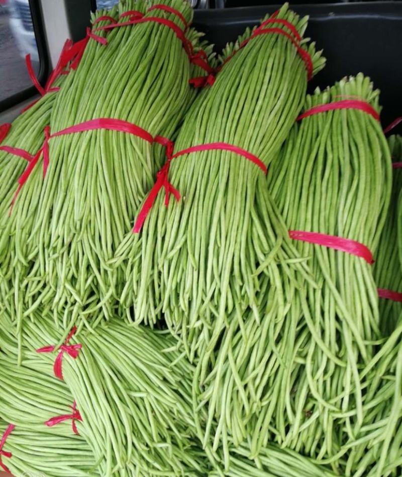 兰陵青条豆角