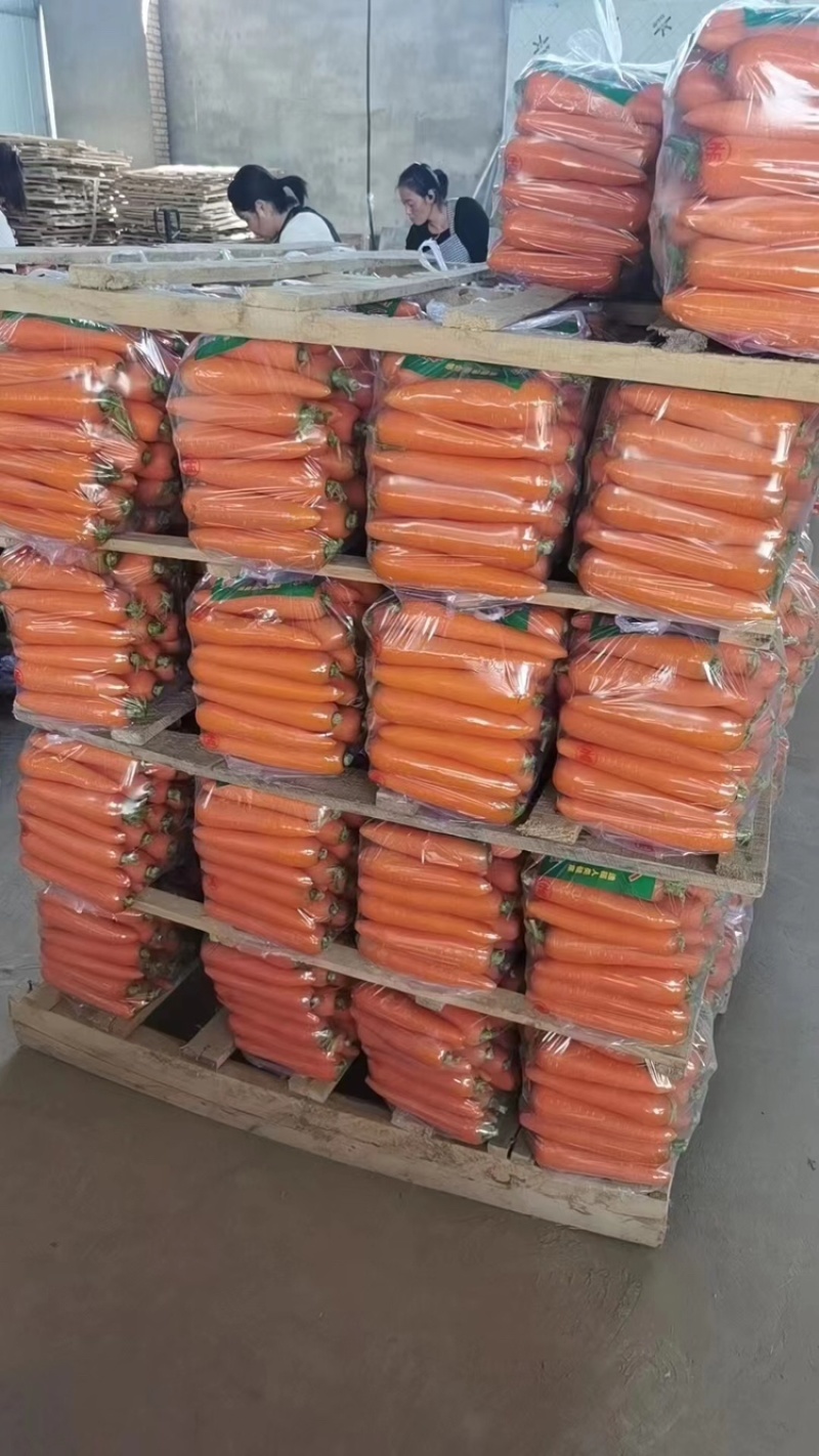 精品，陕西胡萝卜三红胡萝卜大量供应，货源充足，量大从优