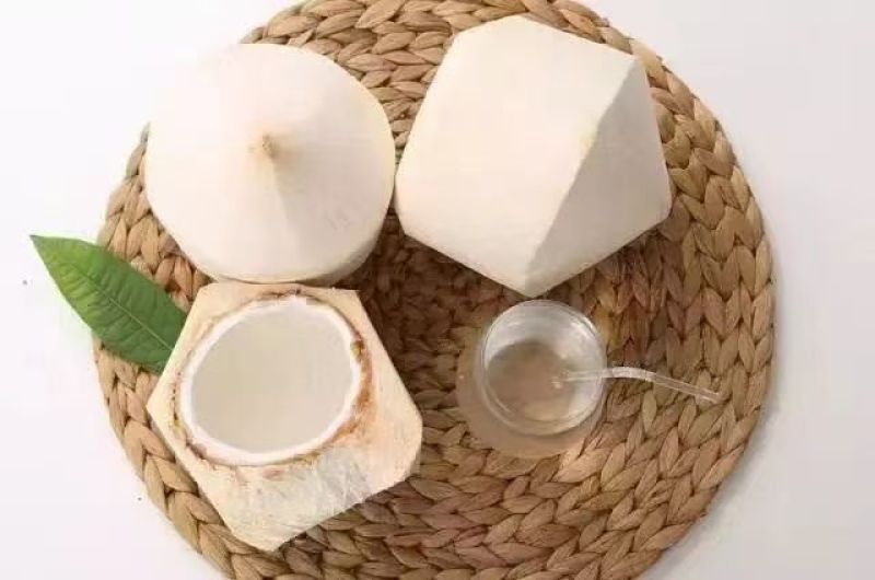 【推荐】海南椰子大量供应/视频看货/质量保证/欢迎咨询