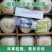 【推荐】海南椰子大量供应/视频看货/质量保证/欢迎咨询