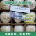 【推荐】海南椰子/精品椰子/支持批发一件代发/视频看货