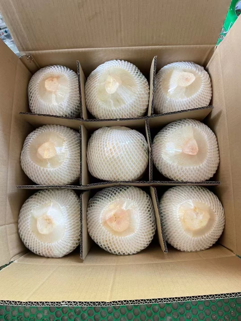 【推荐】海南椰子/精品椰子/支持批发一件代发/视频看货