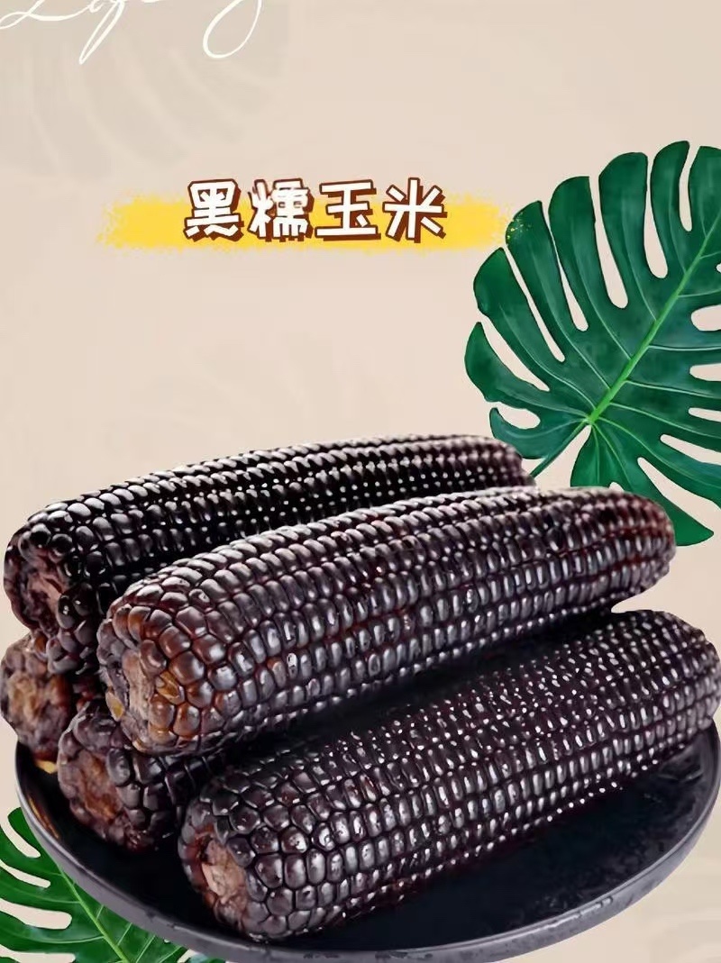 黑玉米，糯玉米对接电商一件代发市场社区团购