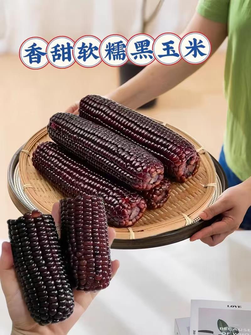 黑玉米，糯玉米对接电商一件代发市场社区团购