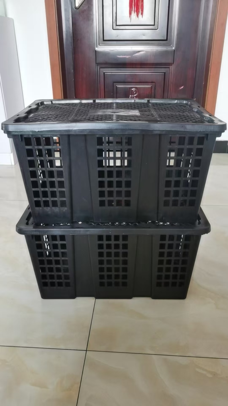 活禽筐