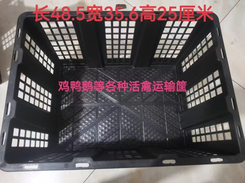 活禽筐