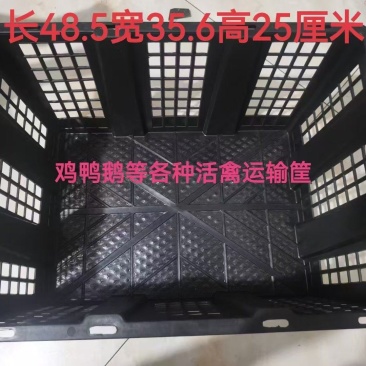 活禽筐