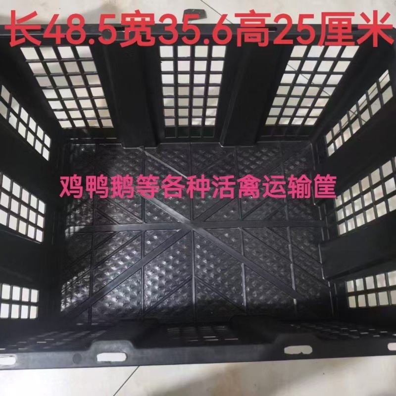 活禽筐