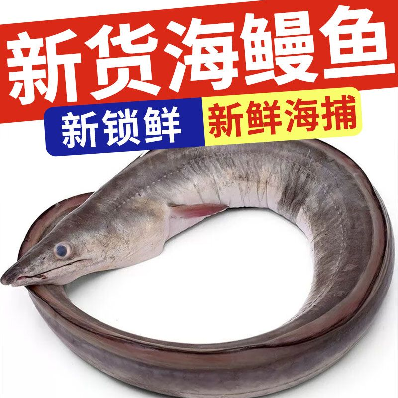 海南黑鳗鱼，活杀去骨大量供应，品质保障，接商超市场电商