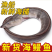 海南黑鳗鱼，活杀去骨大量供应，品质保障，接商超市场电商