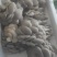 甘肃平菇产地直发货源充足对接商超批发商