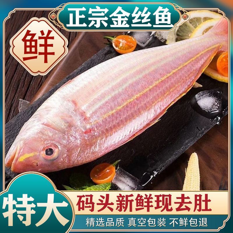 海南本地红杉鱼，新鲜红杉鱼上货，去肚真空包装，欢迎来电