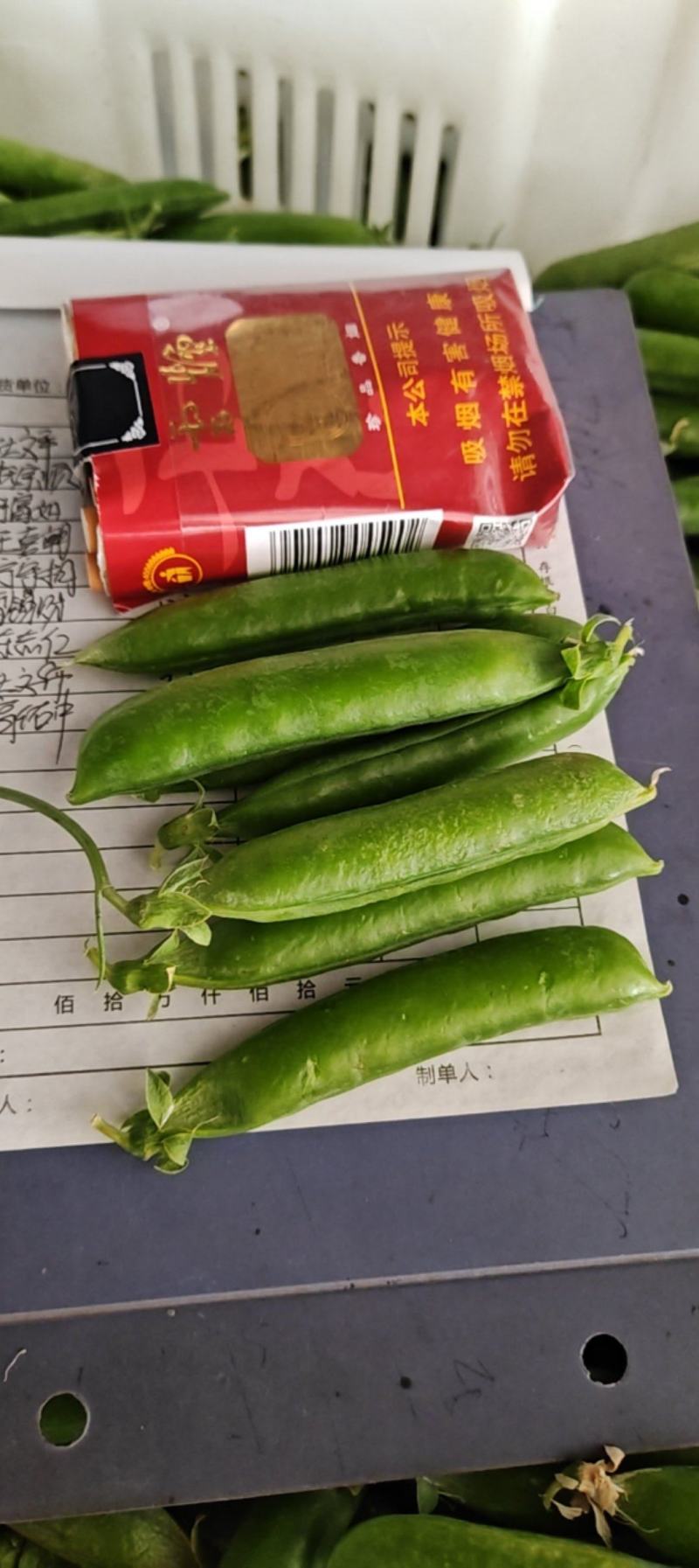 长寿仁，靖远长寿仁豌豆角