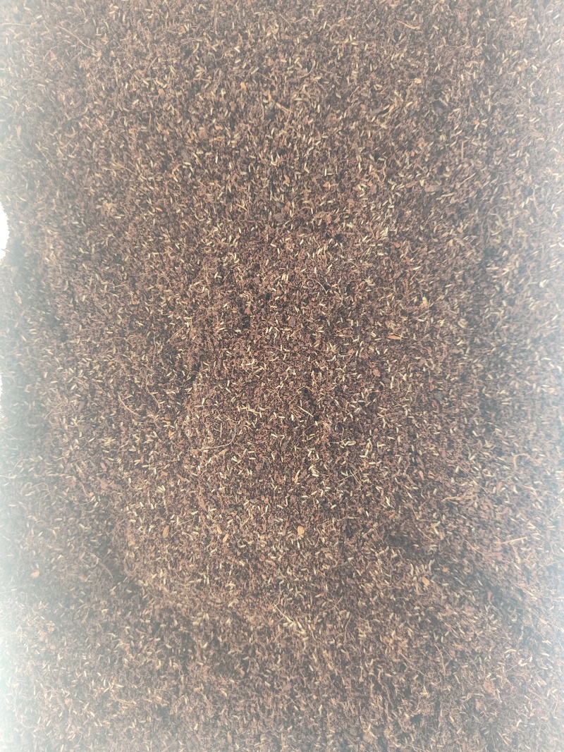 双斑油葫芦蟋蟀卵密度高质量保证