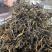云南安和红茶，精选品质，一手货源，可视频看货
