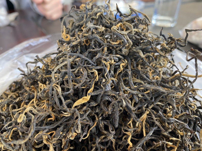 云南安和红茶，精选品质，一手货源，可视频看货