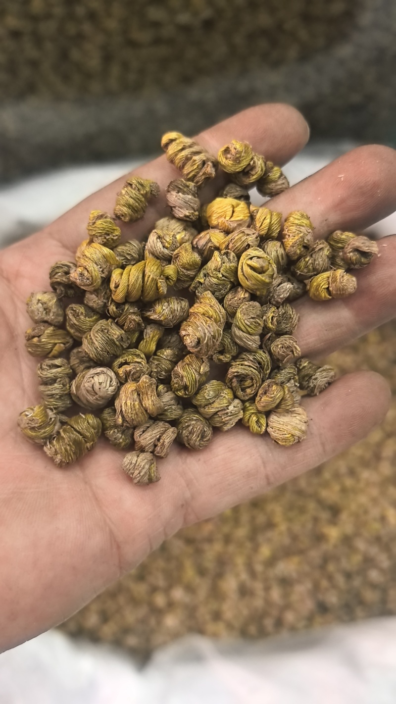 纯手工挑选霍山铁皮石斛礼盒装质量保证货源充足欢迎订购