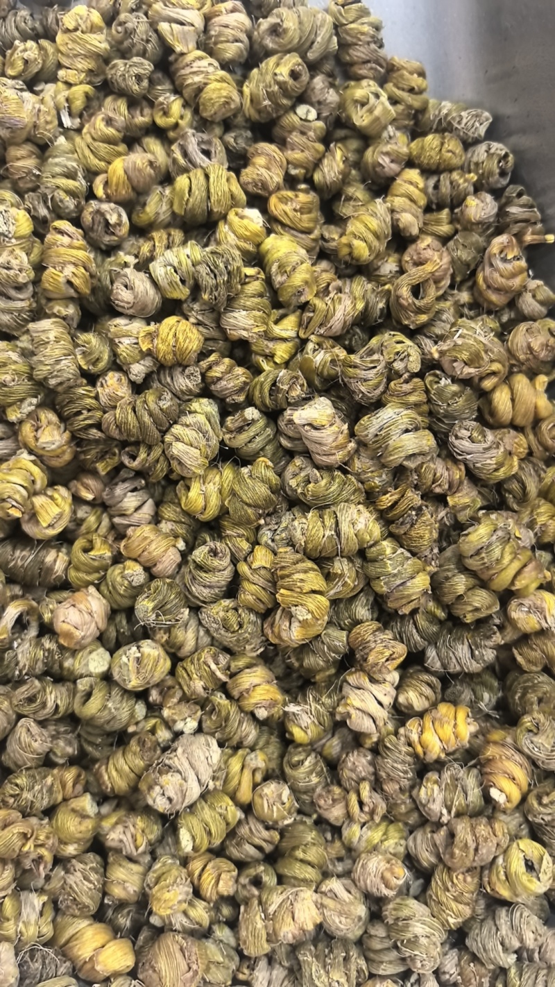 纯手工挑选霍山铁皮石斛礼盒装质量保证货源充足欢迎订购