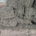 艾草河南全棵艾草大量接单产地直发量大从优欢迎来电