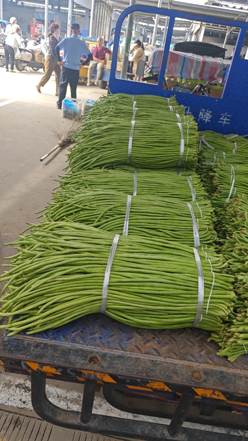 长豆角/豇豆对接商超批发市场品质保证欢迎咨询